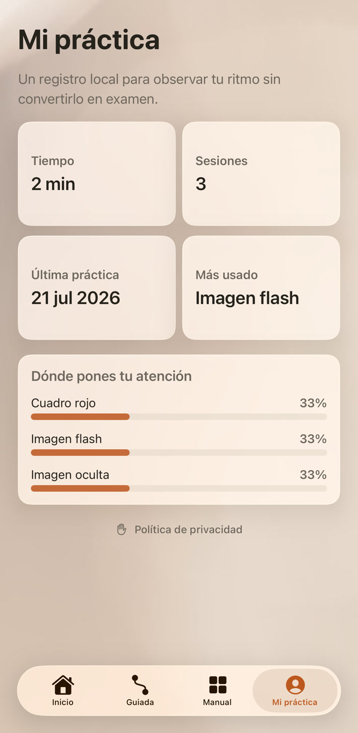 Resumen local de práctica en Intuyo